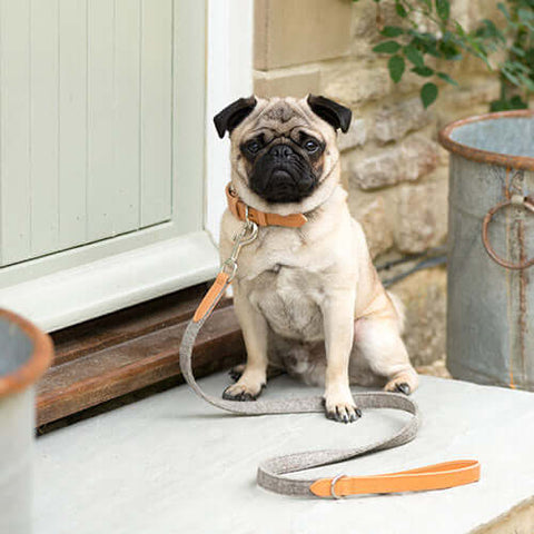 Timeless Neutrals
