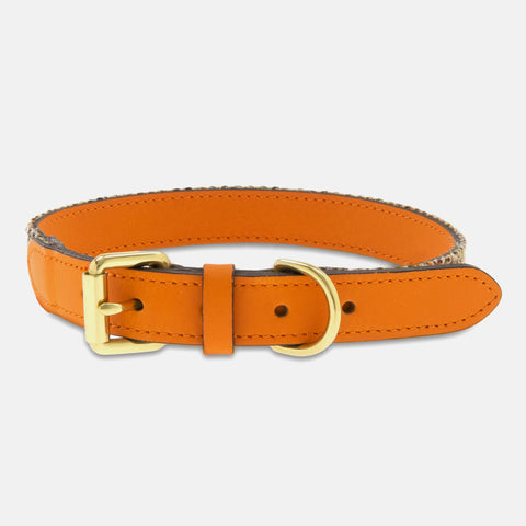 £15 Collars/Leads