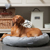 Dog lying on a grey dog bed in a home setting with storage baskets and a cabinet.