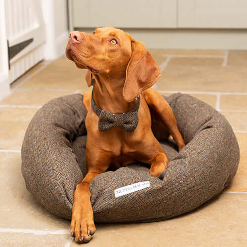 Heritage Tweed Dog Bow Tie