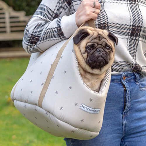 Grey Stars & Charcoal Stripe Dog Carrier