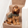 Olive Quilted Dog Coat