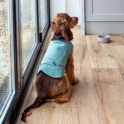 Eucalyptus Tweed Dog Coat