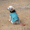 Eucalyptus Tweed Dog Coat