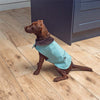 Eucalyptus Tweed Dog Coat