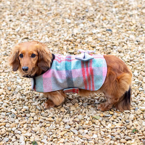 Macaroon Check Tweed Dog Coat