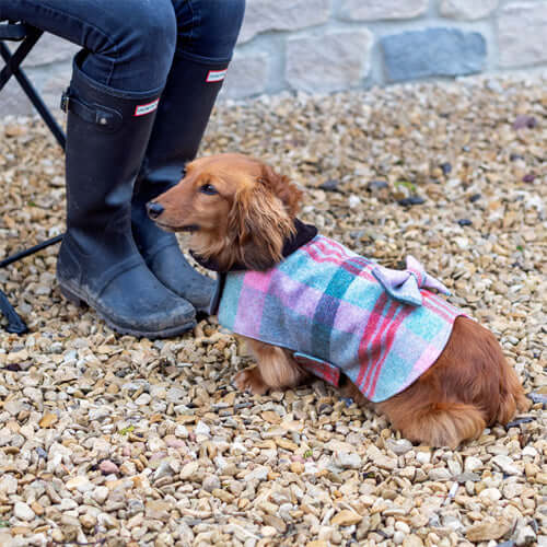 Macaroon Check Tweed Dog Coat