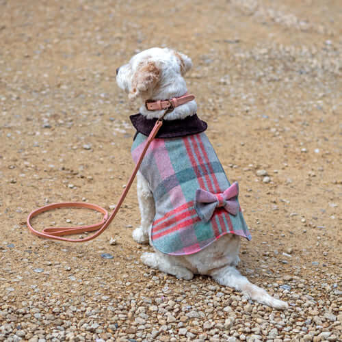 Macaroon Check Tweed Dog Coat