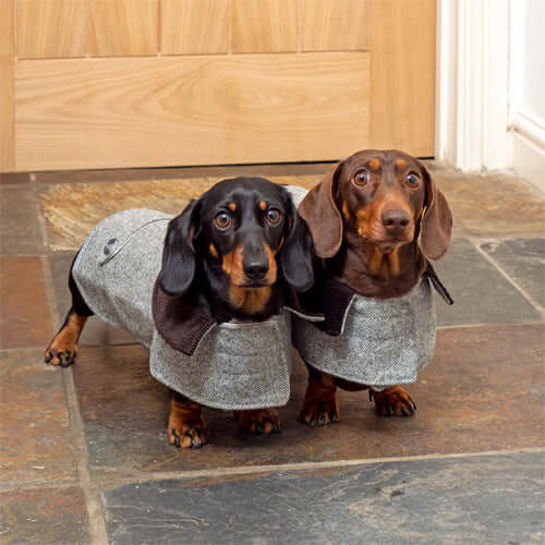 Stoneham Tweed Dog Coat