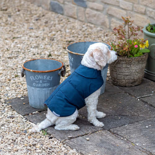 Navy Waxed Waterproof Dog Coat