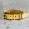 Mustard Leather Dog Collar