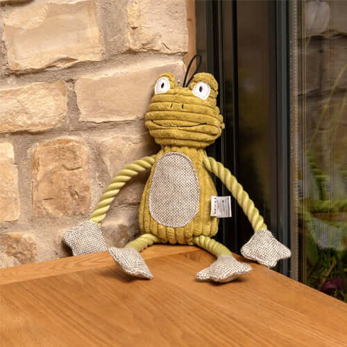 Fredrik Frog Plush Dog Toy
