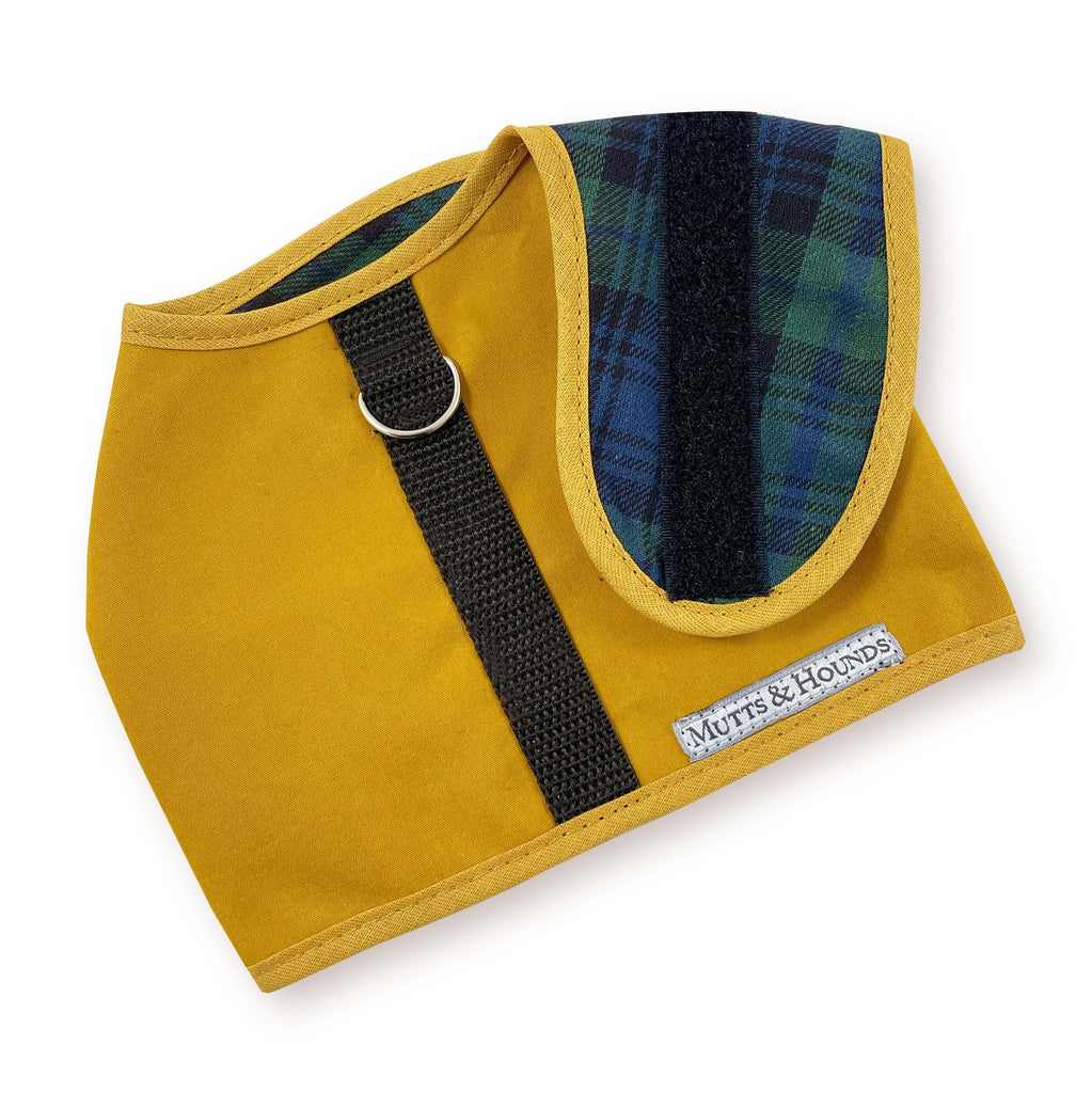 Mustard Wax Dog Harness