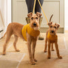 Mustard Wax Dog Harness