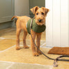 Olive Wax Dog Harness