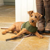 Olive Wax Dog Harness