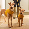 Mustard Leather Dog Lead