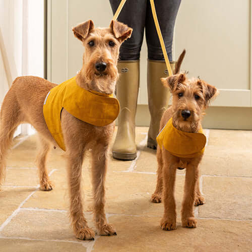 Mustard Leather Dog Lead