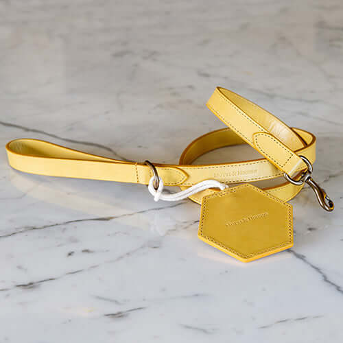 Mustard Leather Dog Lead