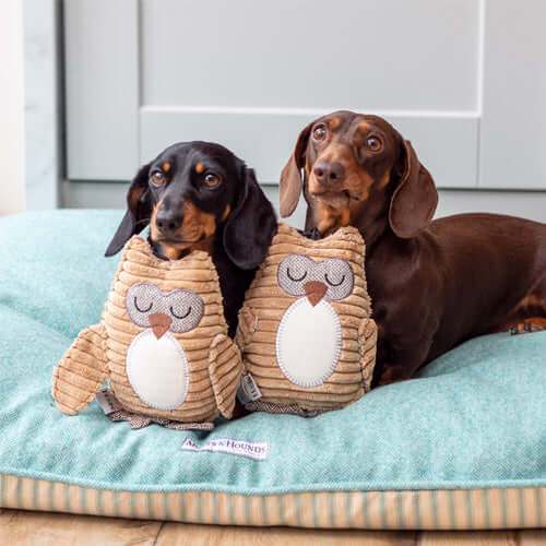 Ollie Owl Plush Dog Toy