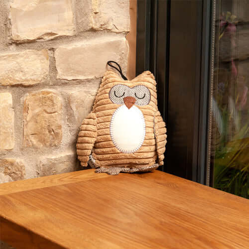 Ollie Owl Plush Dog Toy