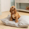 Grey Stars & Charcoal Stripe Pillow Dog Bed