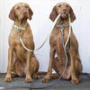 Grey Leather Dog Lead