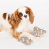 Mushroom Bone Squeaky Bone Dog Toy