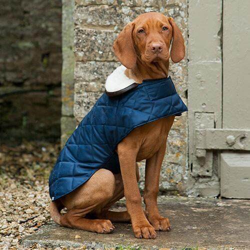 Navy Quilted Dog Coat