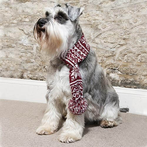 Snowflake Dog Scarf