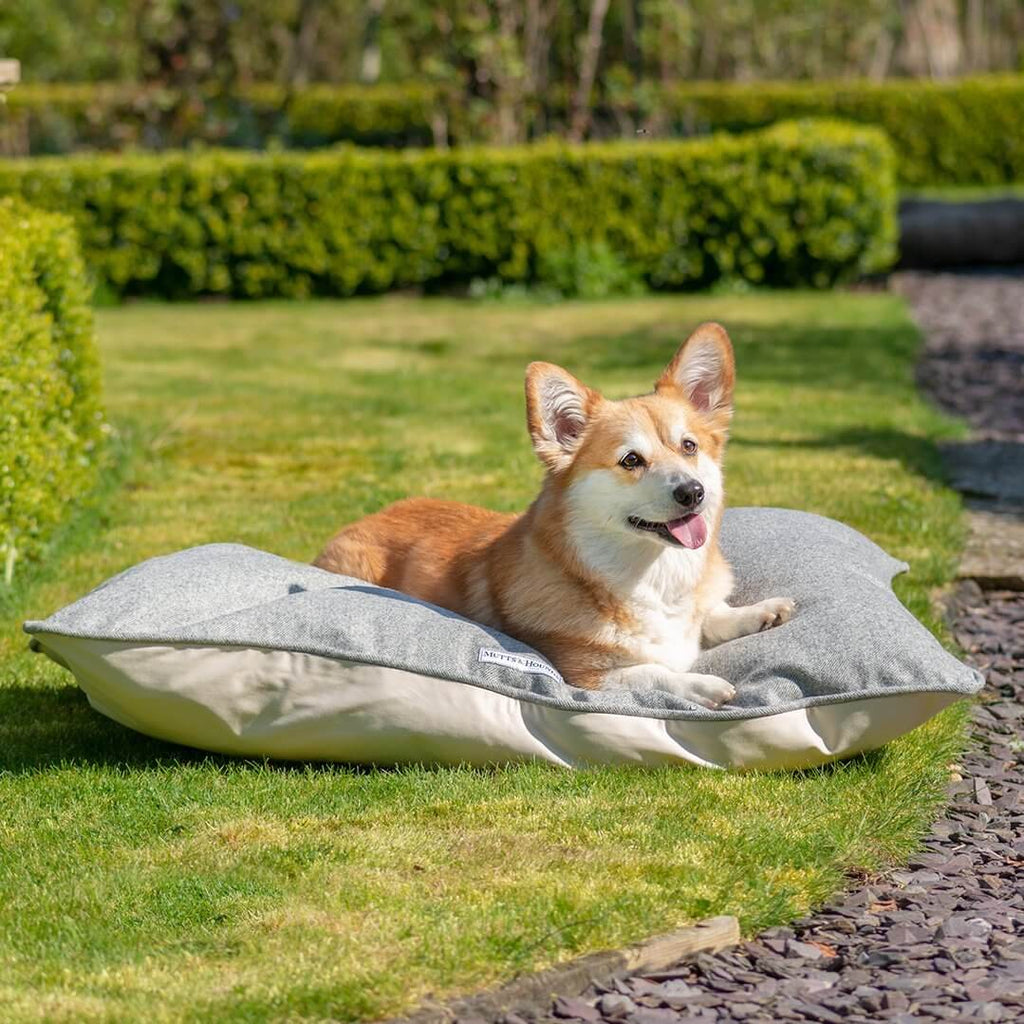 Stoneham Tweed Pillow Dog Bed