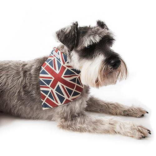 Union Jack Dog Neckerchief