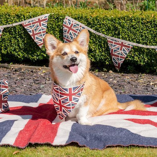 Union Jack Dog Neckerchief